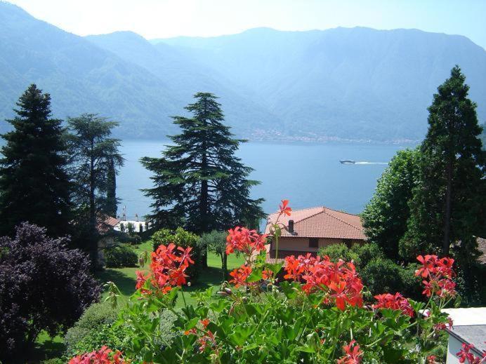 Hotel Lario Mezzegra Екстериор снимка